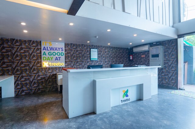 ツリーボー ツイン ツリー