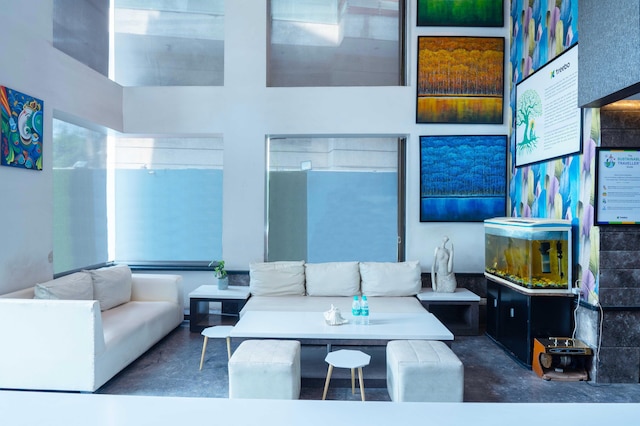 ツリーボー ツイン ツリー