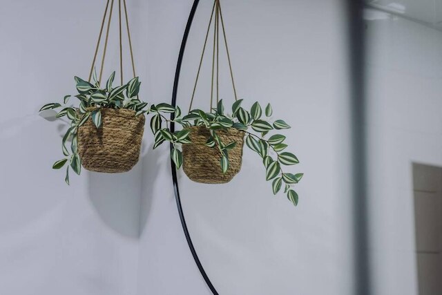 ホストステイ・バンズ・ウェアハウスIV