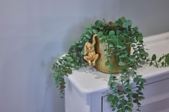 ホストアパートメンツザファルクナークオーターズII