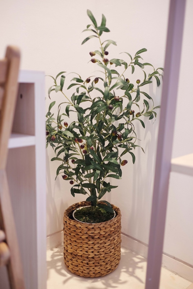 リトルミコノス