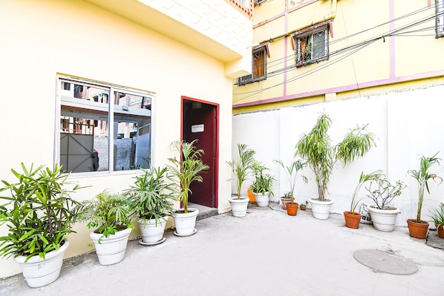 ファブエクスプレスP3