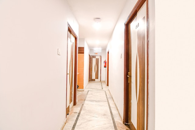 ファブエクスプレスP3