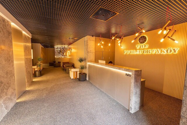 ザ・パブリック・オルタコイ