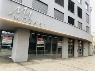 スタニング1ベッドスタジオ