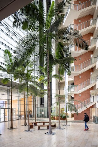 マリーナシーフロントリトリートバイシーエヌレント