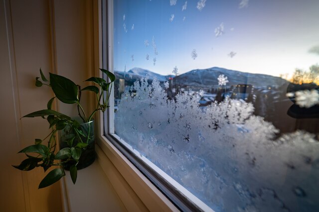 ブーカーセンハイム