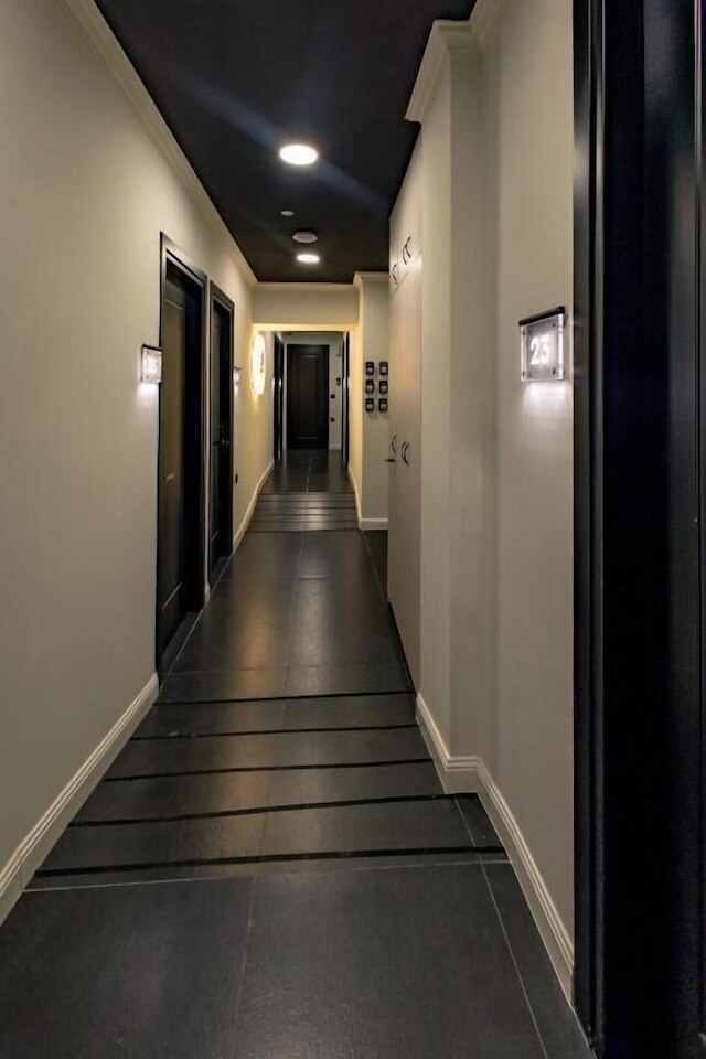 トリプル アー - クリソスピリオティシス 7