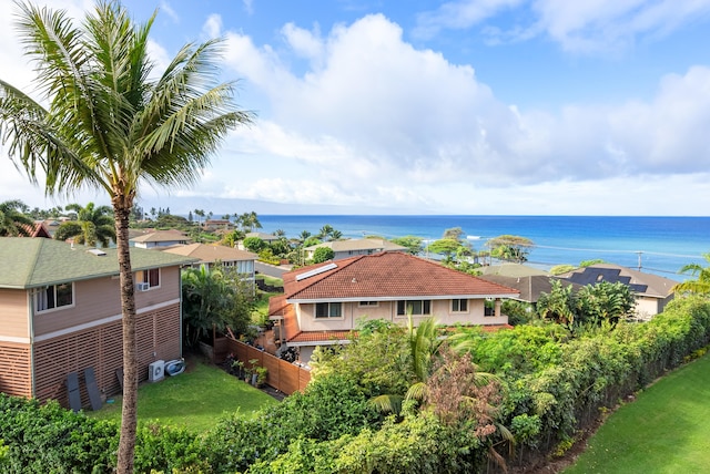 ラハイナのカハナビラE609