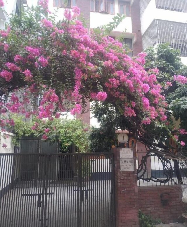 タズガーデンハウス