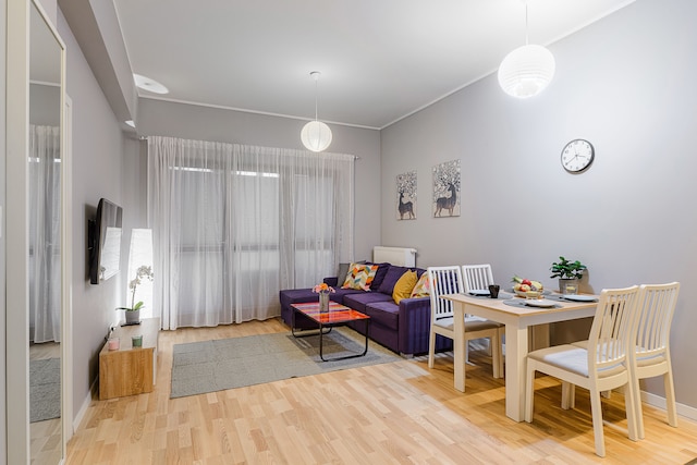 ショートステイポーランド・ジャナ・カジミエシャB155