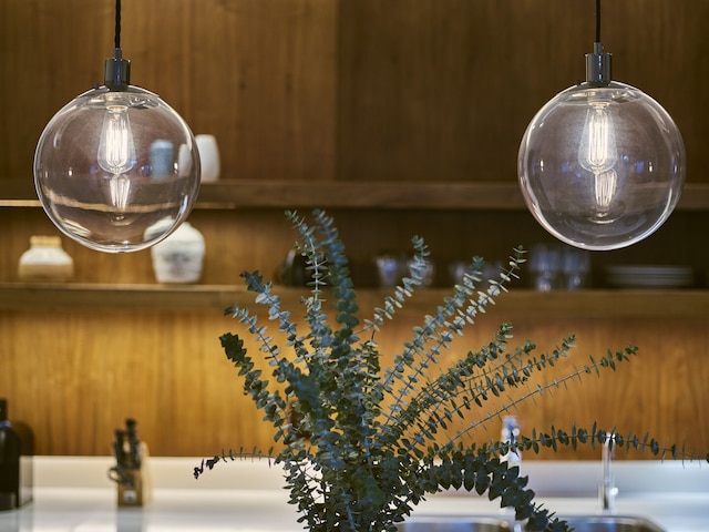 カクタスフラワー