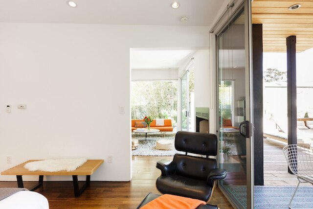 カクタスフラワー