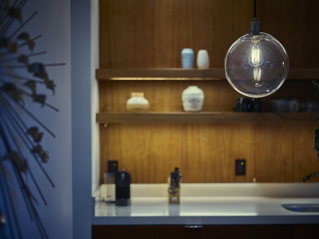 カクタスフラワー