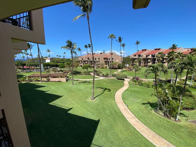 カマオレ・サンズ7307・イン・キヘイ