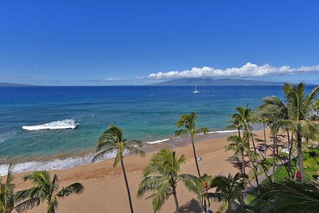 カアナパリのカアナパリアリー385