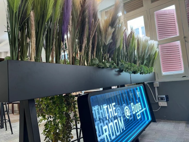 ザ ルーム @ブギス