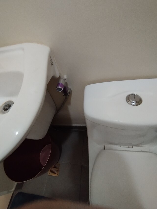 セブアヴィダリアラT22810ITパーク