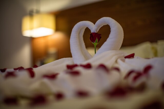 アンコール ランデブー