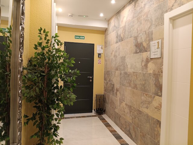 セレンディピティ ヒスパリス ネルビオン