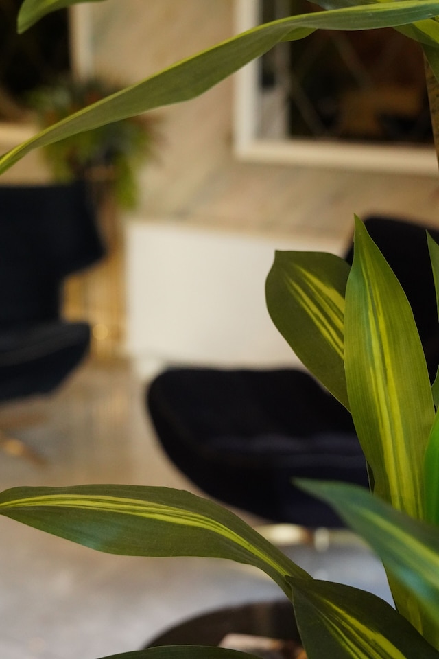 アンクヴァ ホテル