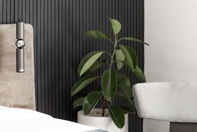 プレミアウマラスヴィラ