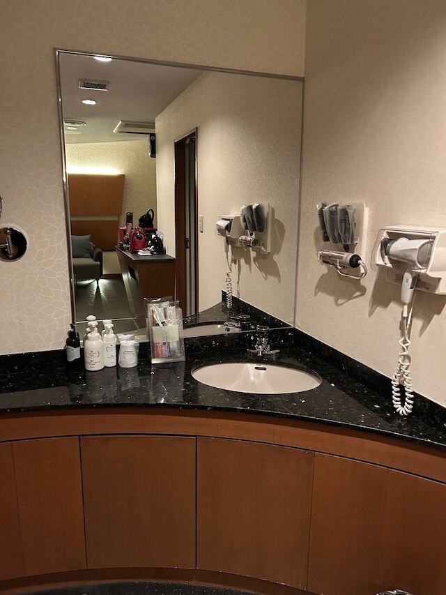 ホテルステイ川崎