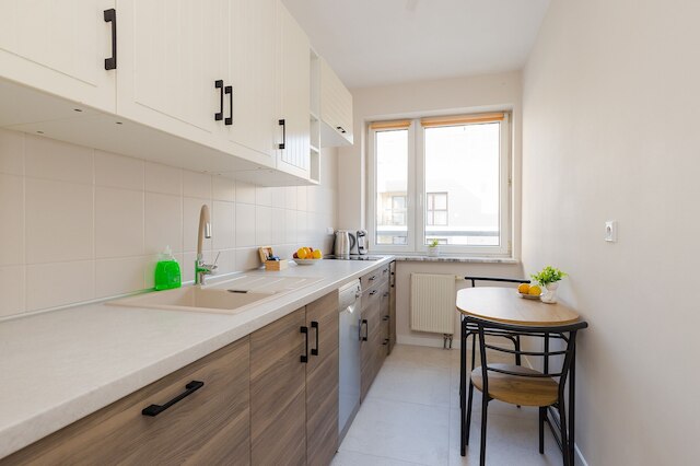 ショートステイポーランド アレヤ スタノウ ジェドノチォニッチ (B159)