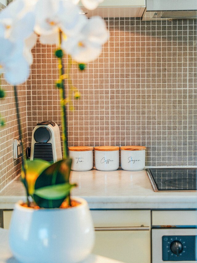 XQ コレクション ソルトウォーター ボンダイ ビーチ