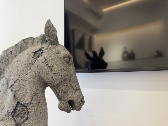 アクロポリスゴールデンビューペントハウス