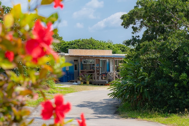 the Sanctuary Kohama Retreat
