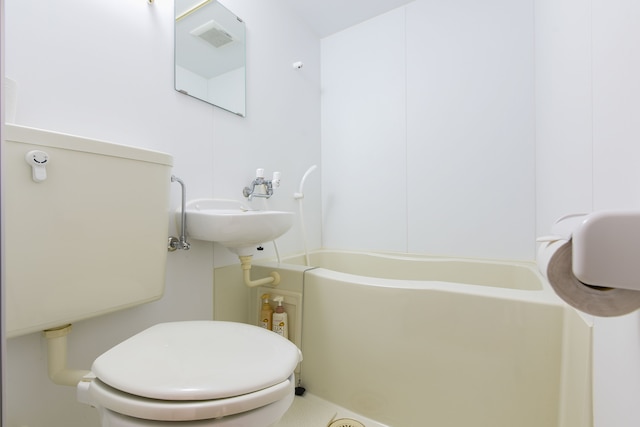 河口湖 セミナープラザ ロイヤルフジ