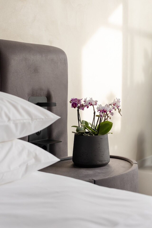 レガルホテルミトロポレオス