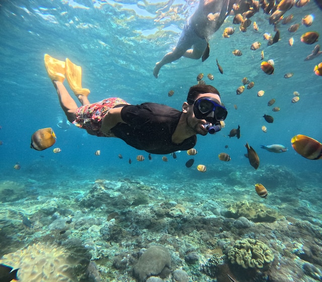 アマン ディア クルーズ