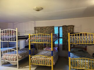 ブッシュパラダイス