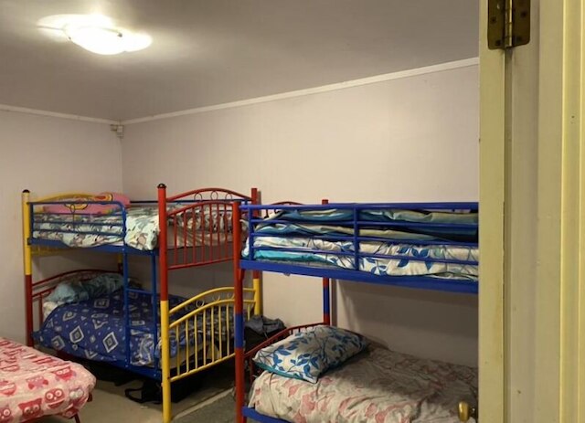 ブッシュパラダイス