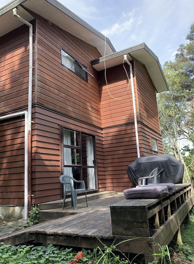 ブッシュパラダイス