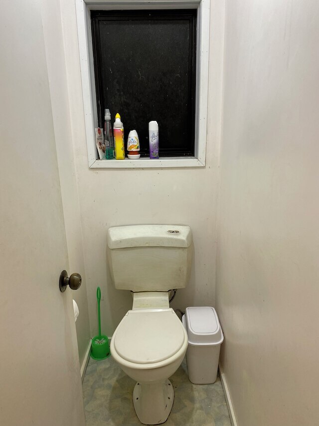 ブッシュパラダイス