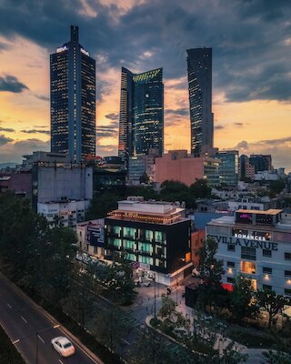 CDMXRENTALS ロンドレス