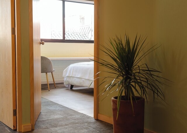 シナロア 49 バイ ミスター W