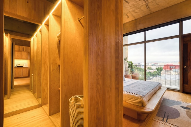 サン ルイス ポトシ バイ ミスター W