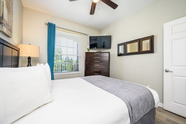 エピック ユニバース ビューティフル コンド, ビスタ ケイ, オーランド - 3026