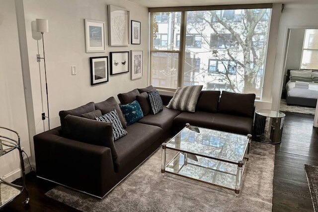 プライベート ペントハウス ウィズ ルーフ オアシス