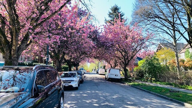 バンクーバーウエスト UBC-アジャセント ラグジュアリーホーム リトリート 4B