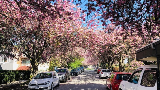 バンクーバーウエスト UBC-アジャセント ラグジュアリーホーム リトリート 4B