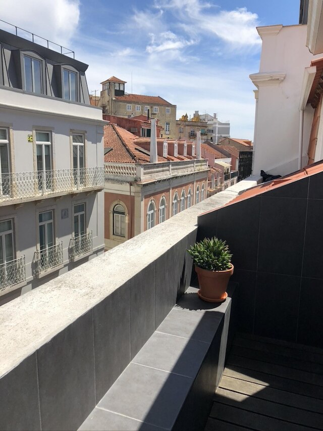 プリンシペ レアル デラックス バイ ホーミング