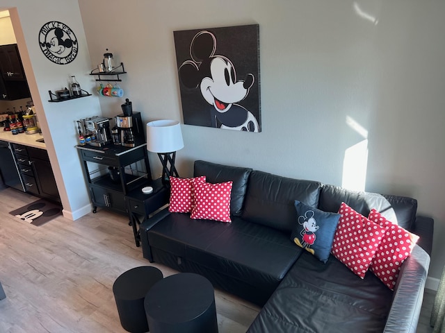 レイク ブエナ ビスタ スイート 2 クイーンズ