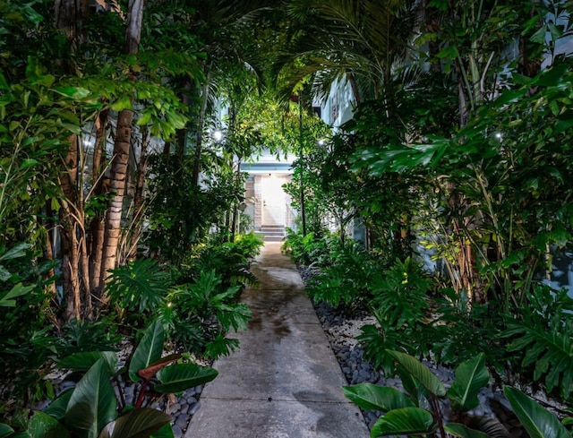 マイアミ ビーチ プール キッチンまで徒歩 6 分のスタジオ