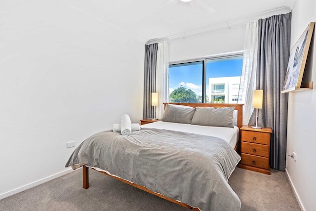 サンライズ コーブ