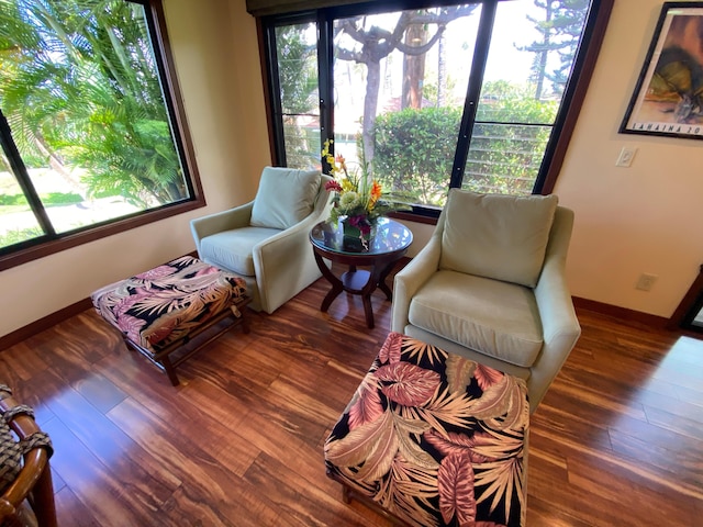 インターナショナル コロニー クラブ 23